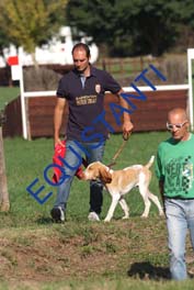 DSCF1051