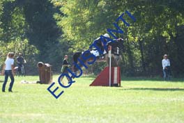DSCF1114