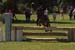 DSCF1269