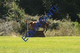 DSCF1562