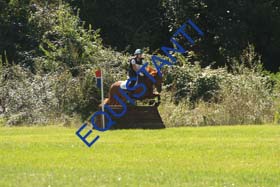 DSCF1619