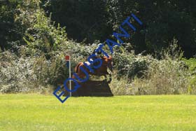 DSCF1631