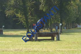DSCF1325