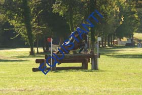 DSCF1360