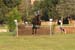 DSCF1341