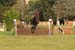 DSCF1344