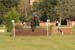 DSCF1353