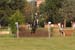 DSCF1367