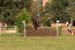 DSCF1390