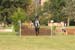 DSCF1456