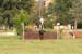 DSCF1471