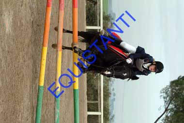 DSCF8140