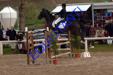 DSCF8147