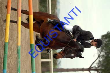 DSCF8165
