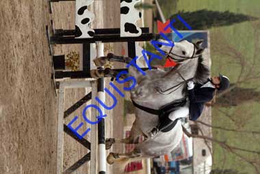 DSCF8183