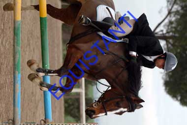 DSCF8190