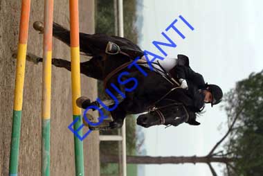 DSCF8195