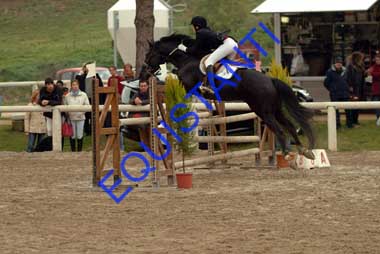 DSCF8197