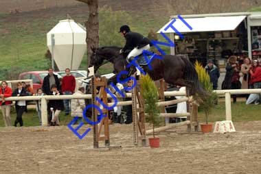 DSCF8207