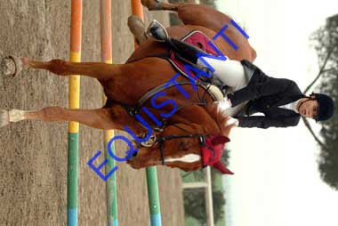 DSCF8226