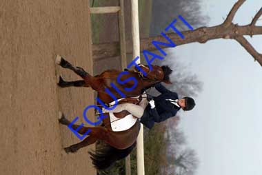 DSCF8070