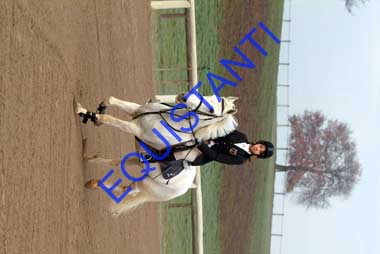 DSCF7972