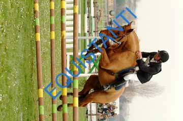 DSCF9085