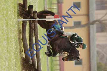 DSCF9685