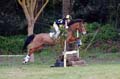 DSCF0357