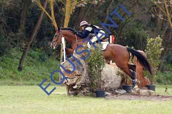 DSCF0297