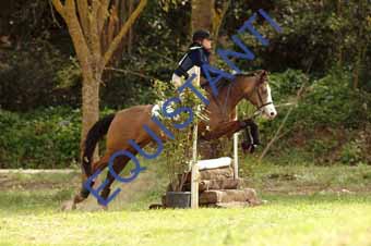 DSCF0481