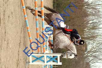 DSCF0428
