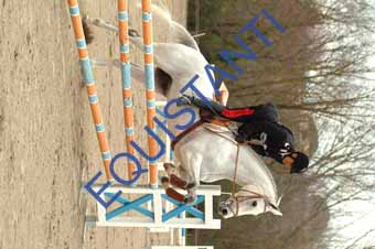 DSCF0433