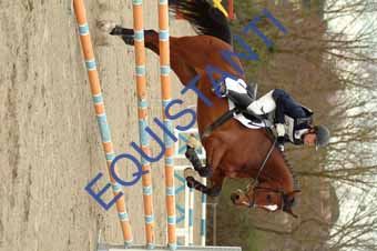 DSCF0437