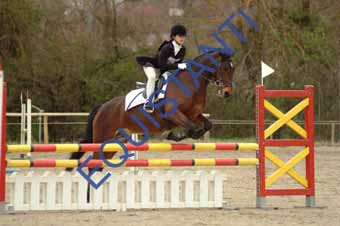 DSCF0444