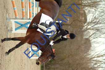 DSCF0447
