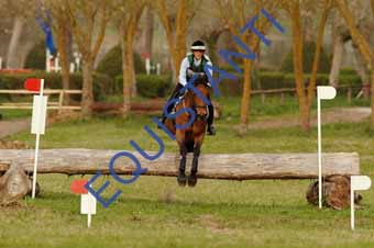 DSCF0537