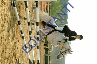 DSCF0781