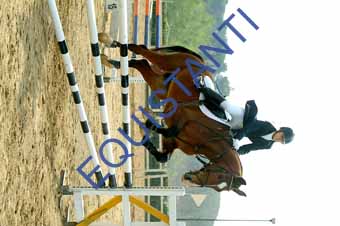 DSCF0804