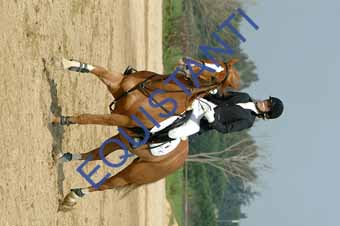 DSCF0831