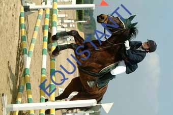 DSCF0857