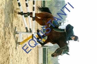 DSCF0858