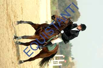 DSCF0877