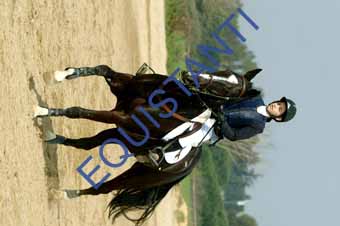 DSCF0884