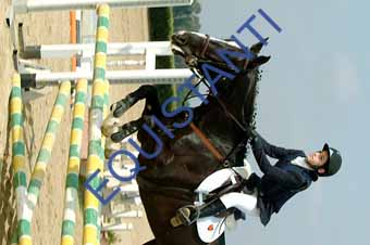 DSCF0885