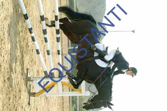 DSCF0886