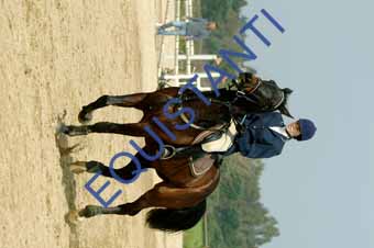 DSCF0891