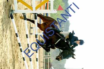 DSCF0893