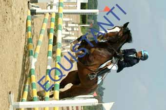 DSCF0899