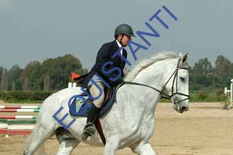 DSCF0937